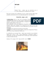 Que Es El Fuego PDF