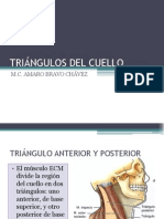 tringulos-del-cuello-1221961097906075-9.ppt