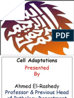WEEK 10 Cell adaptation.pdf