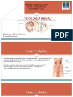 Fisiología Renal