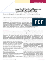 High-Mobility Group Box 1 Protein in Human and Murine Skin