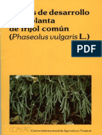 importante  phaseolus.pdf