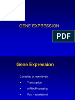 Lab5_GeneExpression