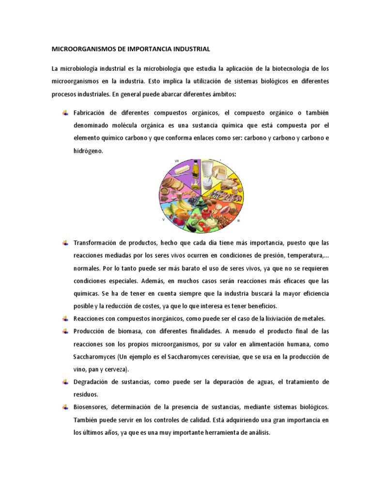 Microorganismos en la Industria Alimentaria | PDF | Alimentos | Queso