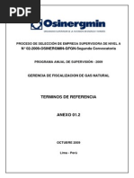 Anexo 01.2 TR Certificacion Ducto Principal PLNG_2da.conv. (20.10.09)-2