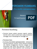 Feromon Kumbang