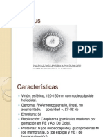 Coronavirus y Rhabdovirus