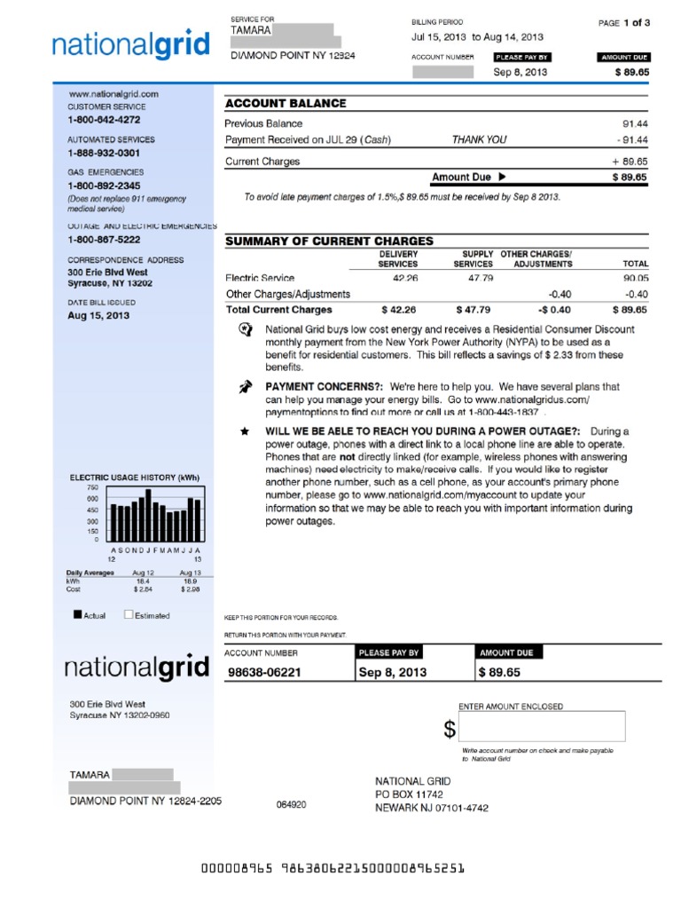 new-york-national-grid-pdf-pdf