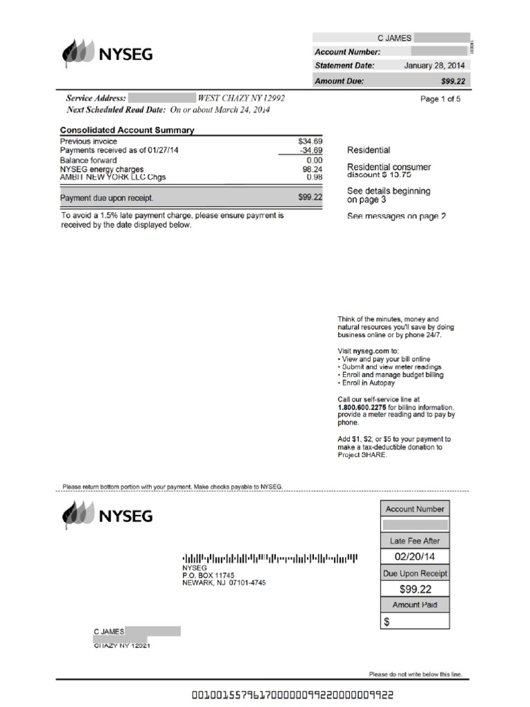 New York - NYSEG PDF | PDF
