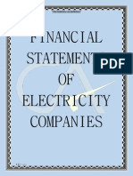 Financial Statements of Electricity Companies