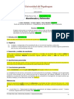Plantilla para Reportes DSM1 Echavez
