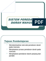 Peredaran Darah Manusia