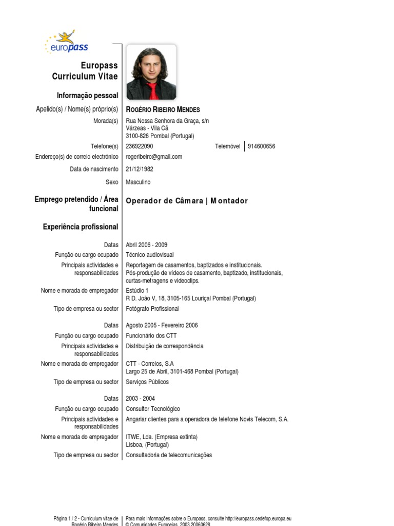 Curriculum vitae sections picture