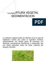 Cobertura Vegetal