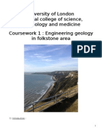 Folkestone Wastewater Report