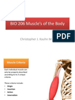 BIO 206 (2) Muscles of the Body and Upper Limb