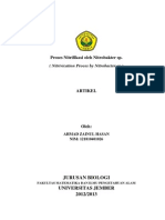 Proses Nitrifikasi Dan Denitrifikasi Oleh Nitrobakter SP