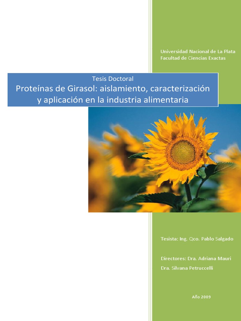 Aislado de Girasol | PDF | Proteínas | Aceite de oliva