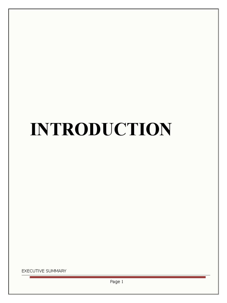 Vishal Mega Mart 1 PDF Retail Economy Of India