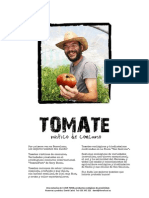 Dossier Tomate Rustico Ecologico