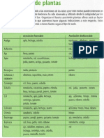 Asociación Plantas Opt