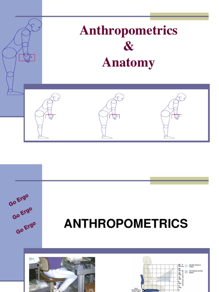 Anthropometrics & Anatomy | PDF | Anthropometry | Elbow