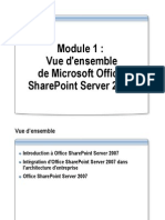 Vue D'Ensemble de Microsoft Office Sharepoint Server 2007