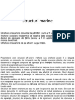 5 Structuri Offshore