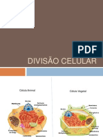 Divisão Celular AD2