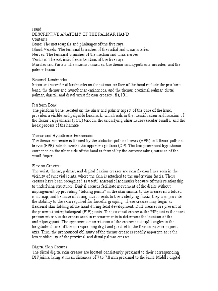 Anatomy of The Hand | PDF | Thumb | Hand