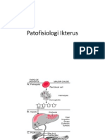 Patofisiologi Ikterus