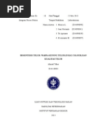 Download Biosintesis Telur by ahmad_yaher_301209 SN249283039 doc pdf