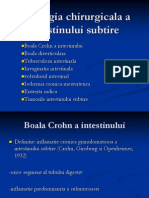 Patologia Chirurgicala A Intestinului Subtire