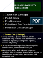 GT 8. Pindah Silang Dan Peta Kromosom