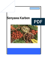 02 KIMIA Senyawa Karbon