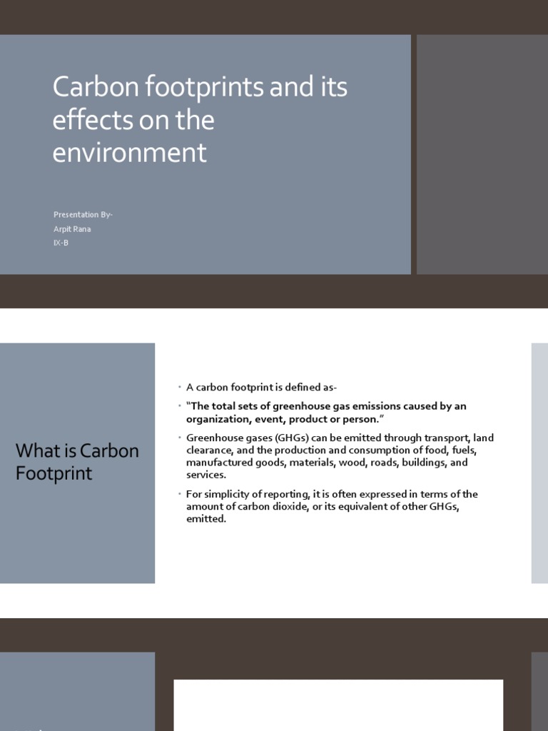 Carbon Footprints and Its Effects On The Environment | PDF | Carbon ...