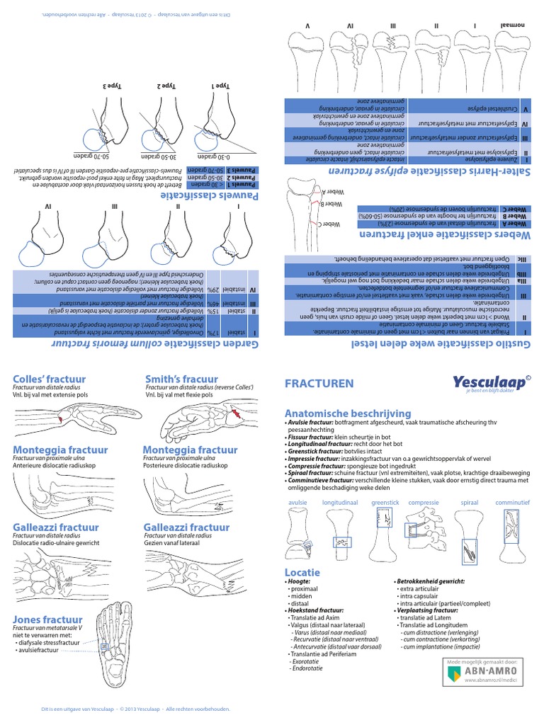 Info Sheet Fractures | PDF
