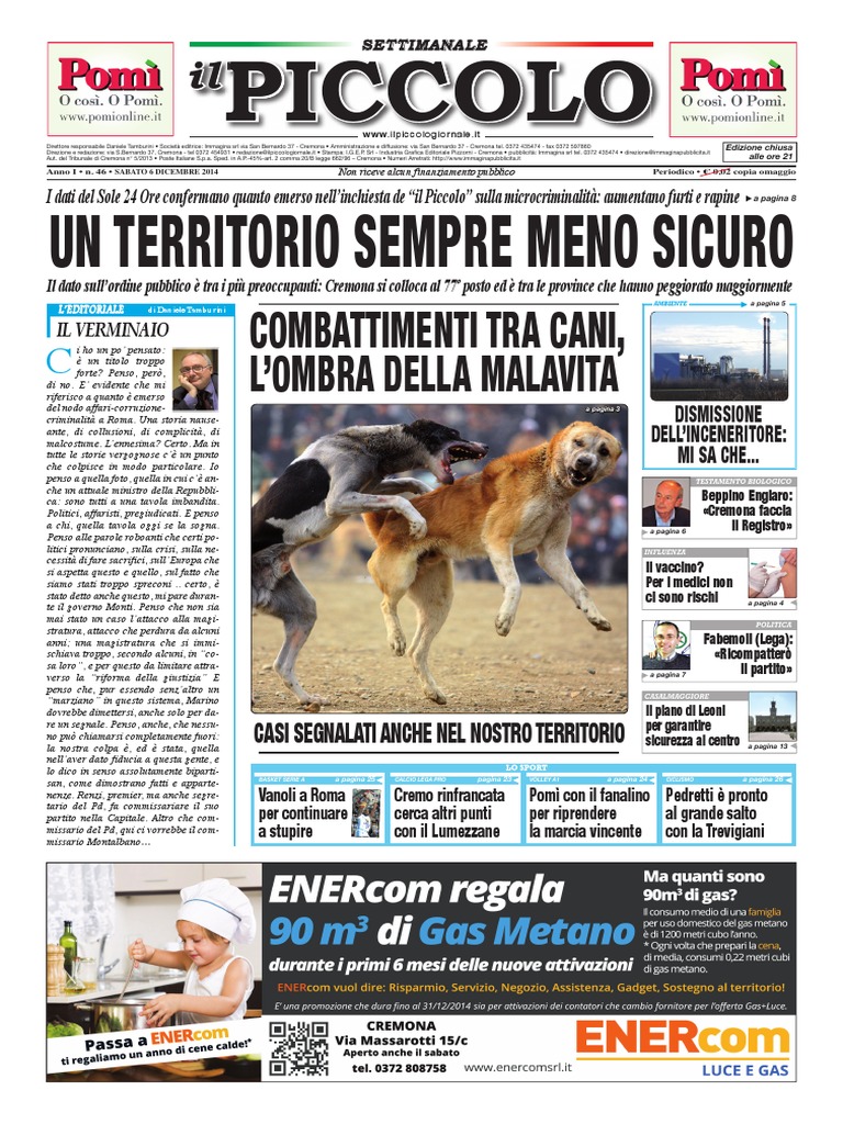 Settimanale Il Piccolo | PDF, image size:768x1024