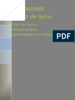 Economie CAIET de LUCRU Mihăescu Mihai