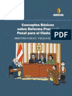 Conceptos basicos de la reforma del proceso penal.pdf