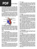 Fisiologia Do Sistema Circulatório