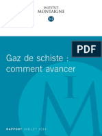 Rapport Gaz de Schiste Internet VF PDF