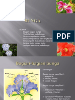 BAGIAN BUNGA