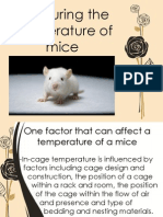 Measuring The Temperature of Mice