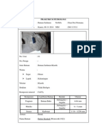 PRAKTIKUM PETROLOGI 2