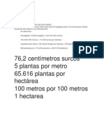 Cantidad de Plantas en Una Hectarea