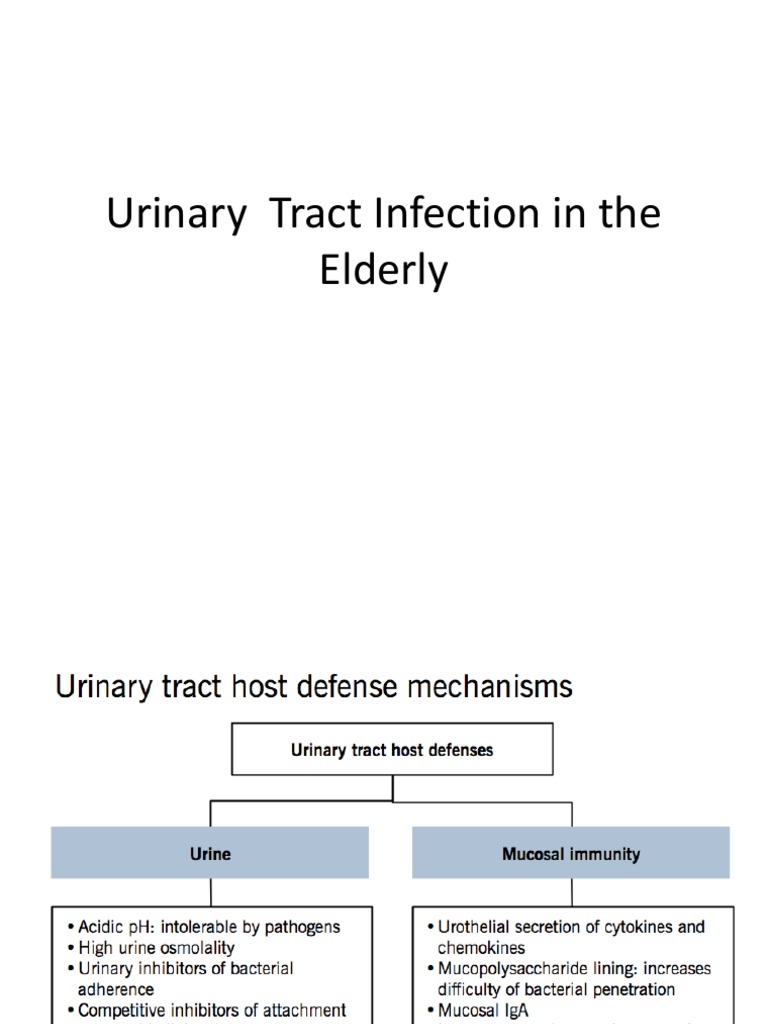 Urinary Tract Infection in the Elderly Urinary Tract Infection Urinary Incontinence