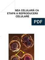 diviziunea-celulara.ppt