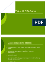 Orezivanje Stabala PDF