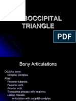 Kumc 26 Suboccipital Triangle Student